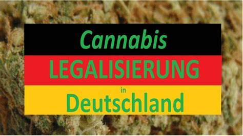 hanf legalisierung deutschland
